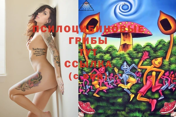 гашик Карталы