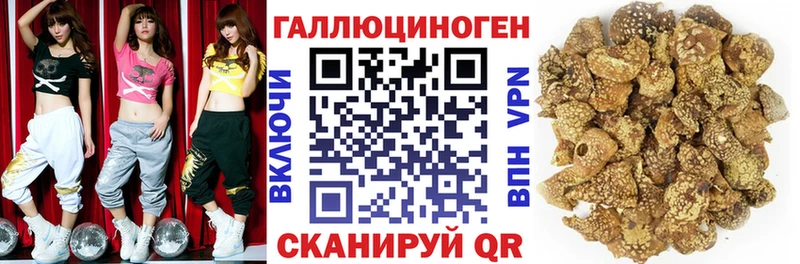 Галлюциногенные грибы Cubensis  Купить закладки  Красноармейск 